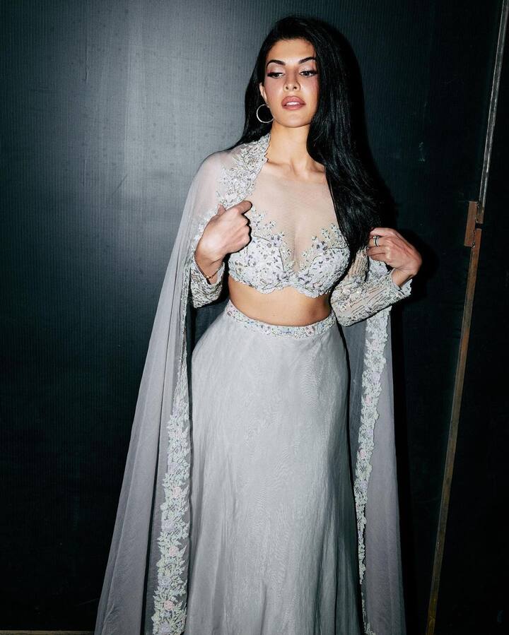 बॉलीवुड एक्ट्रेस जैकलीन फर्नांडिस को तो आप सभी जानते ही हैं. लंबे समय से एक्ट्रेस सोशल मीडिया पर एक्टिव नहीं थी लेकिन, एक बार फिर जैकलिन सोशल मीडिया पर एक्टिव हो गई हैं और समय-समय पर अपने फैंस के लिए नई नई तस्वीरें पोस्ट कर रही हैं.