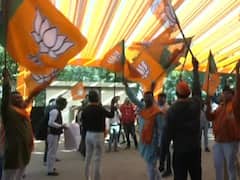 PHOTOS: गुजरात में ऐतिहासिक जीत की ओर BJP, पार्टी में जश्न का माहौल, देखें किस तरह झूम उठे कार्यकर्ता