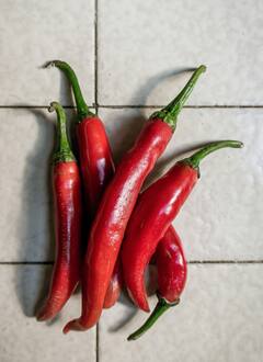 नंदूरबार बाजार समितीत मिरचीची आवक घटली