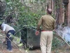 उदयपुर: शहर के बीच शिकार की तलाश में घूमता दिखा पैंथर, मच गया हड़कंप, डर के साये में लोग