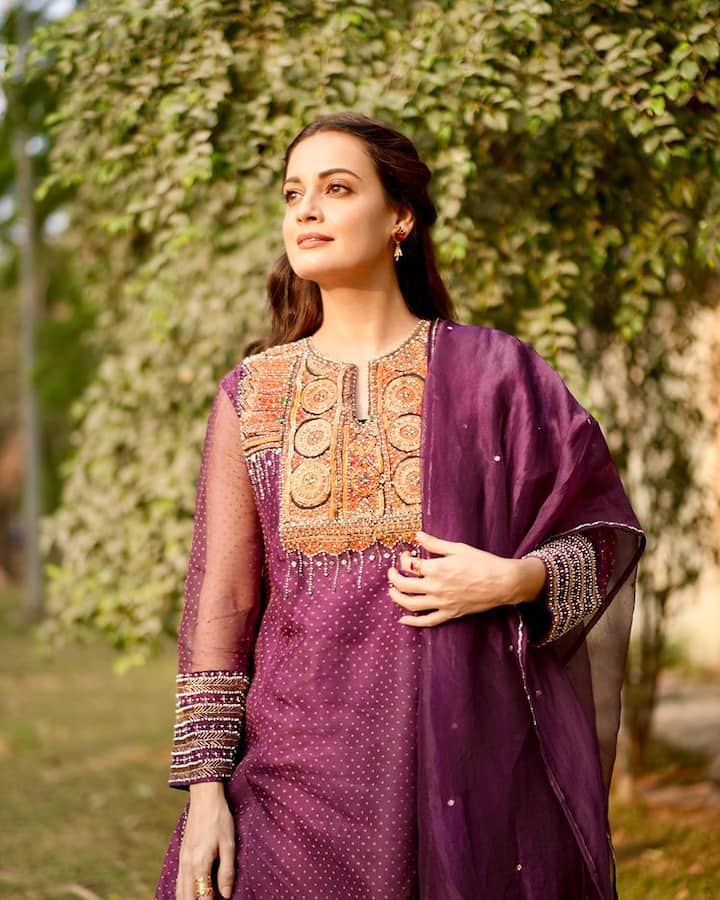 દિયા મિર્ઝાએ તેની કારકિર્દી દરમિયાન દમ, દિવાનાપન, તુમકો ના ભૂલ પાયેંગે, પરિણીતા, દસ, લગે રહો મુન્નાભાઈ જેવી ફિલ્મોમાં અભિનય કર્યો હતો.