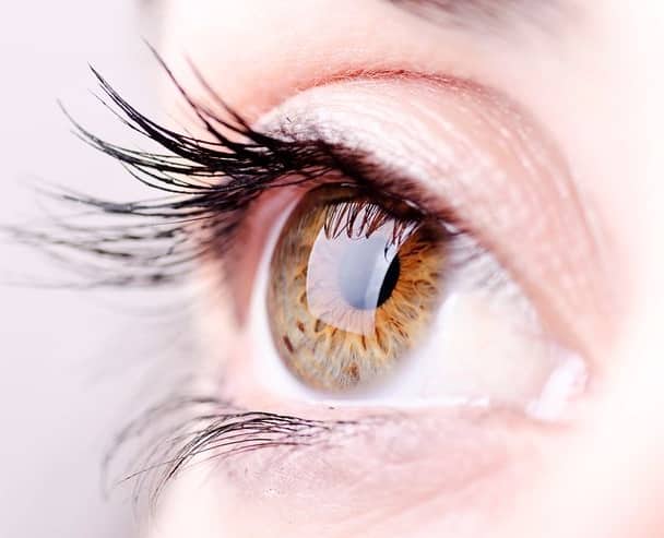 Eyebrows falling is the fall of eyelashes a sign of any disease or your makeup is the reason know Eyelashes Falling: પાંપણો ખરી જવી એ કોઈ રોગની નિશાની છે કે પછી તમારો મેકઅપ છે કારણભૂત, જાણો