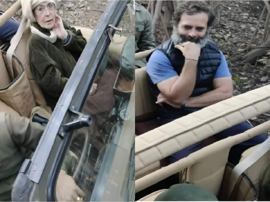 On Her Birthday, Sonia Gandhi Spotted Taking Ranthambore Jeep Safari With Rahul On Her Birthday Sonia Gandhi Spotted Taking Ranthambore Jeep Safari With Rahul Gandhi On Her Birthday, Sonia Gandhi Spotted Taking Ranthambore Jeep Safari With Rahul