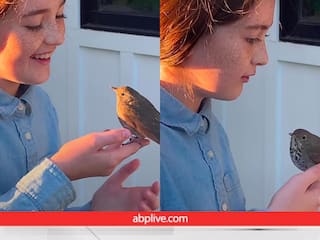 Viral Video: हाथ पर चिड़िया को बिठा कर गाना गुनगुना रही है लड़की, बहुत क्यूट है ये वीडियो