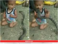सांप के पास आते ही बच्चे ने पकड़ ली उसकी गर्दन, दिल दहला देगा वीडियो