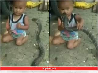 Video: सांप के पास आते ही बच्चे ने पकड़ ली उसकी गर्दन, दिल दहला देगा वीडियो