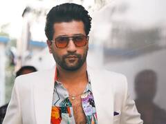 Vicky Kaushal Films: विक्की कौशल ने करियर में की हैं महज इतनी फिल्में, जानिए कितनी हिट और फ्लॉप?