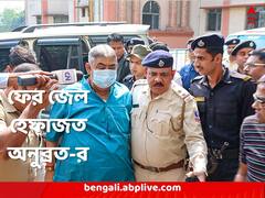 গরুপাচার মামলায় ফের জেল হেফাজত অনুব্রত মণ্ডলের, 'ফেরত' মিলবে না মোবাইলও