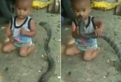 Viral Video: ਸੱਪ ਦੇ ਨੇੜੇ ਆਉਂਦਿਆਂ ਹੀ ਬੱਚੇ ਨੇ ਫੜ੍ਹ ਲਿਆ ਉਸਦਾ ਗਲਾ, ਦਿਲ ਦਹਿਲਾ ਦੇਣ ਵਾਲੀ ਵੀਡੀਓ