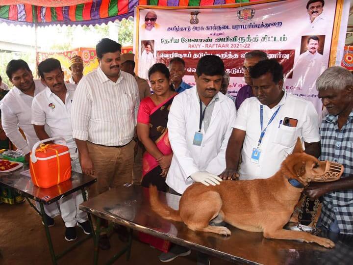 Awareness vaccination camp on rabies prevention at Karur TNN கரூரில் வெறி நோய்  தடுப்பு குறித்து விழிப்புணர்வு தடுப்பூசி முகாம்