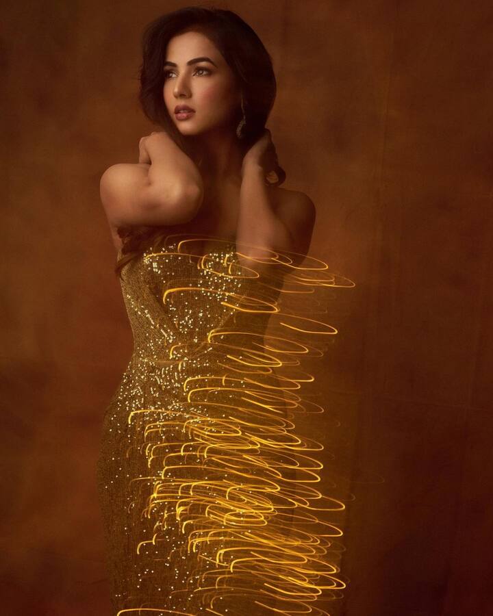 లెజెండ్ సినిమాతో తనకంటూ ప్రత్యేక గుర్తింపు సంపాదించుకున్న సోనాల్ తరువాత డిక్టేటర్, రూలర్ సినిమాల్లో నటించింది