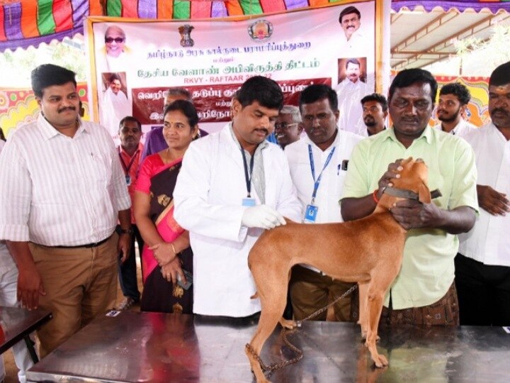 கரூரில் வெறி நோய்  தடுப்பு குறித்து விழிப்புணர்வு தடுப்பூசி முகாம்