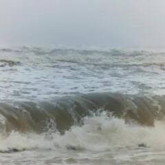 Cyclone Mandous : মান্দাস মোকাবিলায় জরুরি বৈঠক তামিলনাড়ুতে, উড়ান বাতিল; প্রয়োজন ছাড়া বাইরে বেরোনো নিষেধ !