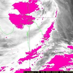 Mandous Cyclone: கொந்தளிக்கும் கடல்..சாய்ந்து கிடக்கும் மரங்கள்..சென்னையில் ஒரு காட்டு காட்டும் மாண்டஸ் புயல்!