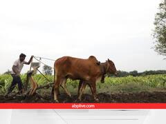 जैविक खेती करने का मन बना रहे हैं तो नोट कर लें ये 5 योजनाएं, ट्रेनिंग-मार्केटिंग, फंड तक का हो जाएगा काम