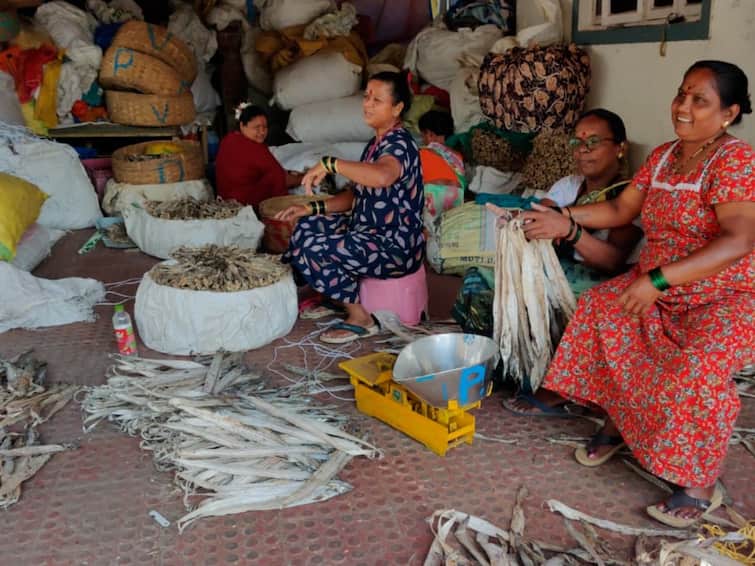 Vasai News The price of dried fish rieses due to decrease in inflow Dried Fish Rate : सुक्या मासळीचे दर कडाडले, खवय्यांच्या खिशाला झळ बसणार