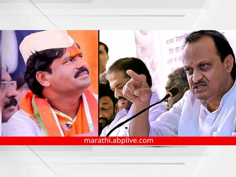 Maharashtra Politicial News Ncp Leader Ajit Pawar criticism on BJP Mla Gopichand Padalkar Ajit Pawar : अरे गोपीचंदा, काय बोलतो... पडळकरांच्या 'त्या' वक्तव्यानंतर अजितदादा कडाडले 