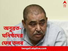 গরুপাচারের টাকা কোথায় খাটানো হয়, জানতে অনুব্রত-ঘনিষ্ঠদের ব্যবসায়ীদের তলব