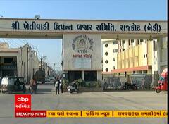 તલ પકવતા ખેડૂતો ખુશખુશાલ, સૌરાષ્ટ્રના તલના રેકોર્ડબ્રેક ભાવ, પ્રતિ મણ રૂપિયા 2900 થી 3000