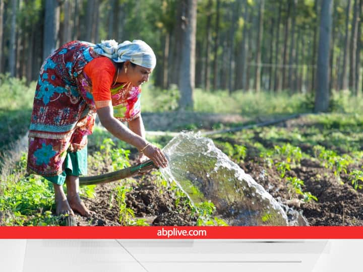 State Seed Farm Aluva near Kochi became first Indian seed farm to achieve carbon neutral status Go Green: देश को मिला पहला कार्बन नेगेटिव सीड फार्म, यहां किसानों के इस अनोखे काम से हर कोई हैरान है