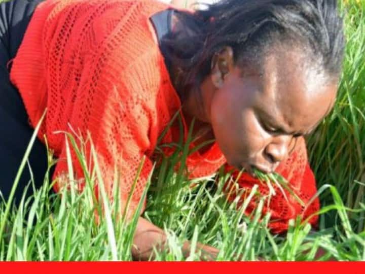 People graze grass considering themselves as cows and buffaloes, this is the world’s strangest disease