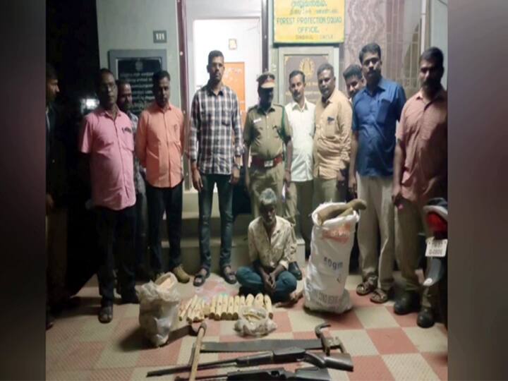 Dindigul Sirumalai One arrested for cutting sandalwood and 70 kg of sandalwood seized TNN திண்டுக்கல் சிறுமலையில் சந்தன மரம் வெட்டியது தொடர்பாக ஒருவர் கைது -   70 கிலோ சந்தன கட்டை பறிமுதல்