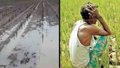 દક્ષિણ ગુજરાતમાં હળવા વરસાદની હવામાન વિભાગે કરી આગાહી, ખેડૂતો ચિંતામાં