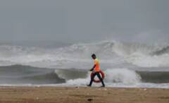 Cyclone Mandous: জলমগ্ন রাস্তাঘাট, উপড়ে পড়ে গাছ, শক্তি হারালেও একরাতেই ঘূর্ণিঝড়ে তছনছ তামিলনাড়ু