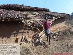 कड़कड़ाती ठंड में 40 हाथियों का दल बना मुसीबत, 15 घर तोड़ने के बाद सरगुजा में मचा रहे उत्पात