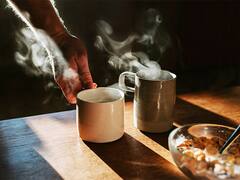 Mouth Burn: গরম চা খেতে গিয়ে জিভ পুড়েছে? অবিলম্বে যা করণীয়