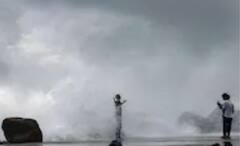 Cyclone Mandous: জলমগ্ন রাস্তাঘাট, উপড়ে পড়ে গাছ, শক্তি হারালেও একরাতেই ঘূর্ণিঝড়ে তছনছ তামিলনাড়ু