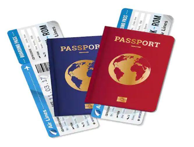 ਦੁਨੀਆ ਦੇ ਸਭ ਤੋਂ ਤਾਕਤਵਰ ਪਾਸਪੋਰਟ ਦੀ ਗੱਲ ਕਰੀਏ ਤਾਂ ਇਹ ਜਾਪਾਨ ਦਾ ਪਾਸਪੋਰਟ ਹੈ। ਇਸ ਪਾਸਪੋਰਟ ਰਾਹੀਂ ਤੁਸੀਂ 193 ਦੇਸ਼ਾਂ ਵਿੱਚ ਬਿਨਾਂ ਵੀਜ਼ਾ ਦੇ ਜਾ ਸਕਦੇ ਹੋ।