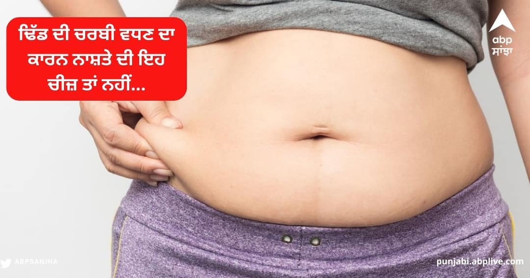 Fatty Stomach : ਢਿੱਡ 'ਤੇ ਵੱਧਦੇ ਫੈਟ ਦਾ ਕਾਰਨ ਨਾਸ਼ਤੇ ਦੀ ਇਹ ਡਿਸ਼ ਤਾਂ ਨਹੀਂ, ਇਕ ਵਾਰ ਤੁਸੀਂ ਵੀ ਕਰ ਲਓ ਚੈੱਕ Fatty Stomach: This breakfast dish is not the cause of increasing fat on the stomach, you should also check it once. Fatty Stomach : ਢਿੱਡ 'ਤੇ ਵੱਧਦੇ ਫੈਟ ਦਾ ਕਾਰਨ ਨਾਸ਼ਤੇ ਦੀ ਇਹ ਡਿਸ਼ ਤਾਂ ਨਹੀਂ, ਇਕ ਵਾਰ ਤੁਸੀਂ ਵੀ ਕਰ ਲਓ ਚੈੱਕ