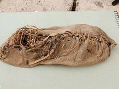 पैंट, चश्मा सहित दुनिया की सबसे पुरानी 10 चीजें, कौन सी चीज कितने साल पुरानी है और कहां मिली