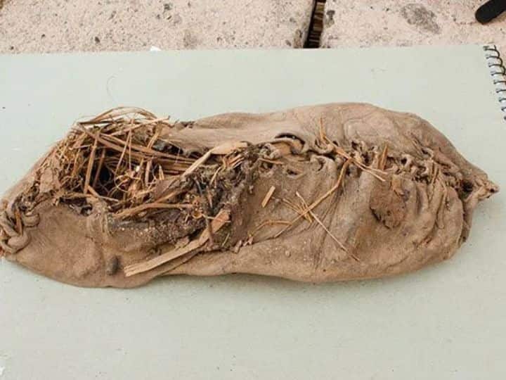 अर्मेनिया की एक गुफा में मिला था दुनिया का सबसे पुराना जूता, जिसे काउहाइड मोकासिन कहते हैं. यह 5500 साल पुराना है. इस जूते को घास और भेड़ के सूखे गोबर द्वारा संरक्षित कर के रखा गया था.