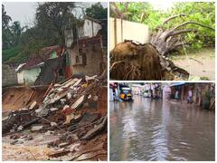 Cyclone Mandous Aftermath: Uprooted Trees, Waterlogging Throw Life Out Of Gear — IN PICS