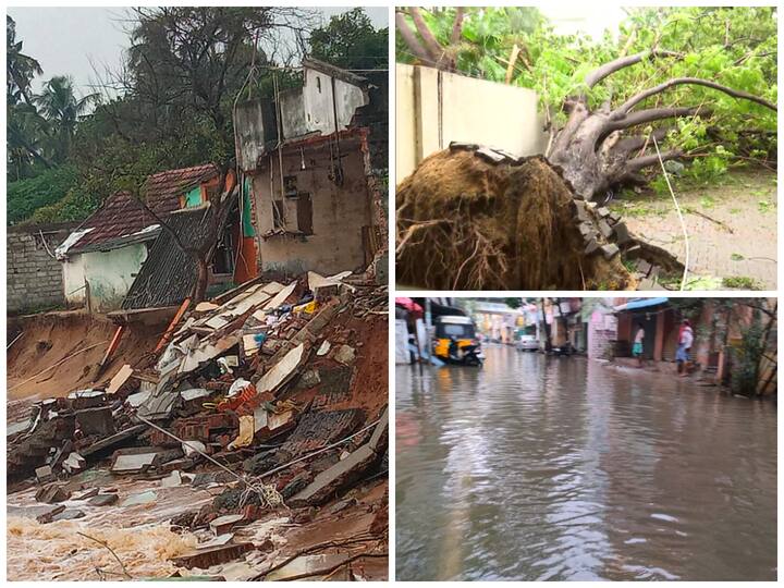 Chennai and several other parts of Tamil Nadu witnessed heavy rainfall and strong winds amid cyclonic storm Mandous. Trees were uprooted, walls collapsed and waterlogging was reported in many areas.