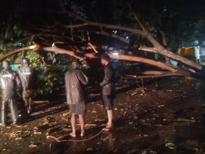 A large tree which was uprooted being cut to smaller chunks to clear the road. Greater Chennai Corporation (GCC) has requested people to stay inside until the storm weakens. (Source: ANI)
