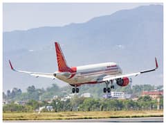 Snake Spotted In Dubai-Bound Air India Flight's Cargo Hold, DGCA To Probe Incident