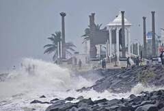 Cyclone Mandous: புதுச்சேரியை புரட்டிய மாண்டஸ் புயலின் புகைப்பட தொகுப்பு!