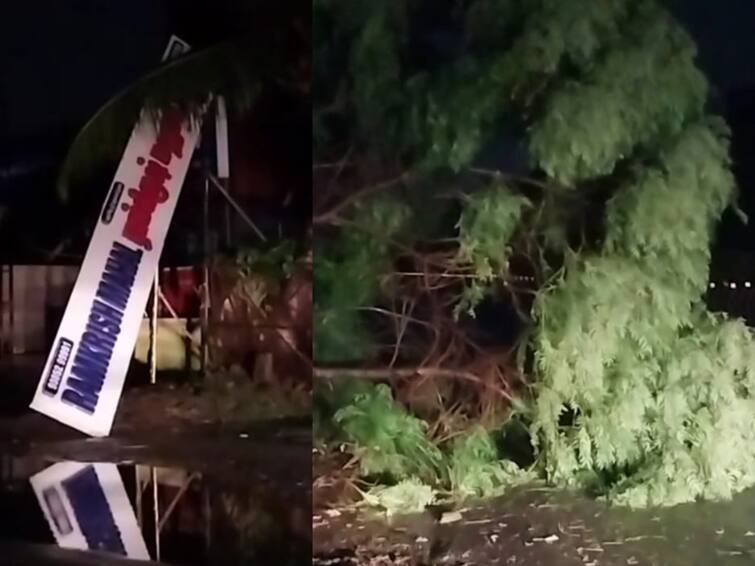 Mandous cyclone turned into deep depression plenty of trees fallen amidst cyclone crossing in Chennai Cyclone Mandous: முறிந்து விழுந்த 300 மரங்கள்..! 150 படகுகள் சேதம்..! சென்னையை துவம்சம் செய்ததா மாண்டஸ்..?