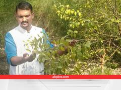 ड्रीम जॉब छोड़कर CAPF अफसर बना किसान, अब काली हल्दी और चंदन से ऐसे मोटी कमाई का है प्लान!