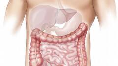 Lifestyle:যত্নে থাকুক লিভার!