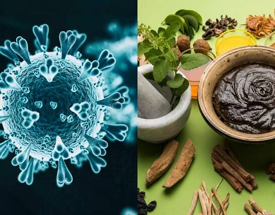 COVID-19 pandemic: A pragmatic plan for ayurveda intervention Ayurvedic Care: કોરોના દરમિયાન સંક્રમિતોને આયુર્વેદથી થયો વધુ ફાયદો, અભ્યાસમાં આવ્યું સામે