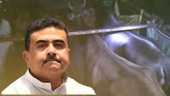 'মমতা-পুলিশ গরু পাচারের ব্যবস্থা করে দিচ্ছে' ট্যুইটে বিস্ফোরক শুভেন্দু অধিকারী