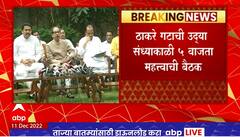 Thackeray Group Meeting : ठाकरे गटाची उद्या संध्याकाळी 5 वाजता महत्त्वाची बैठक