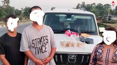 মাদক পাচারের পর্দাফাঁস, এসটিএফ-র জালে অন্যতম অভিযুক্ত