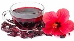 Hibiscus tea and Health : ਕੀ ਤੁਸੀਂ ਕਦੇ ਹਿਬਿਸਕਸ ਚਾਹ ਪੀਤੀ ਹੈ? ਨਹੀਂ ! ਤਾਂ ਹੁਣ ਕਰੋ ਟ੍ਰਾਈ, ਜਾਣੋ ਇਸਦੇ ਫਾਇਦੇ ਤੇ ਬਣਾਉਣ ਦਾ ਤਰੀਕਾ