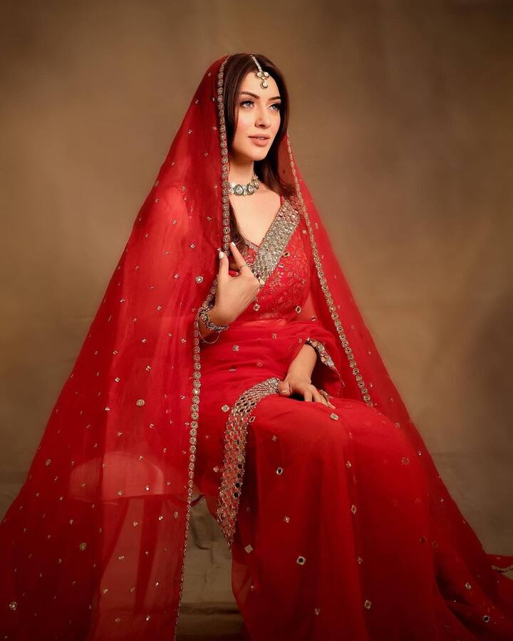 विशेष म्हणजे हंसिकाकडे सध्या अनेक मोठे प्रोजेक्ट्स आहेत. लवकरच ती 'पार्टनर' चित्रपटात दिसणार आहे. (फोटो सौजन्य :ihansika/इंस्टाग्राम)