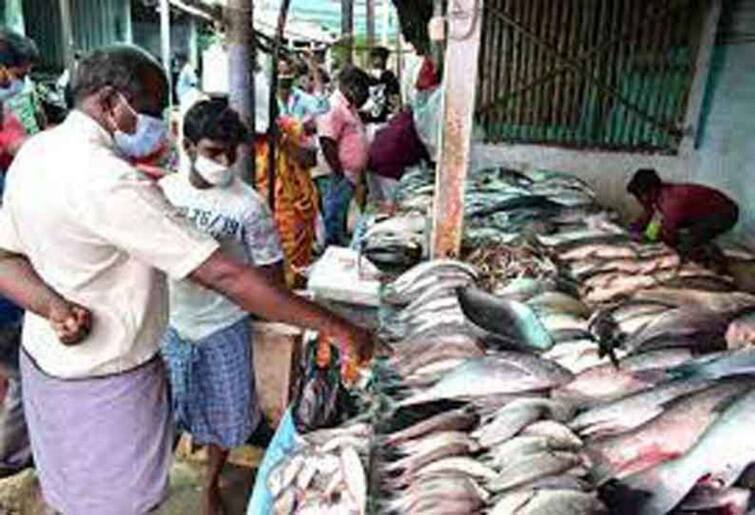 Price of fish rises as barge fishermen do not go to sea. விசைப்படகு மீனவர்கள் கடலுக்கு செல்லாததால் மீன்களின் விலை உயர்வு